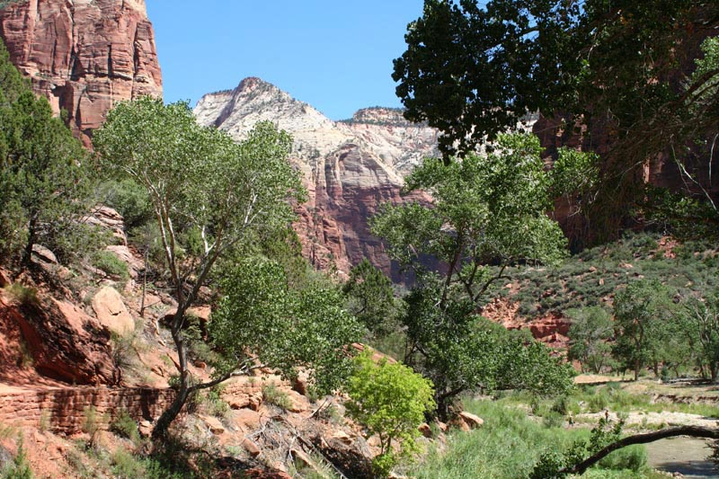 Zion Canyon - blik naar het noorden